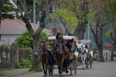 LE TRANSPORT EN CALECHE